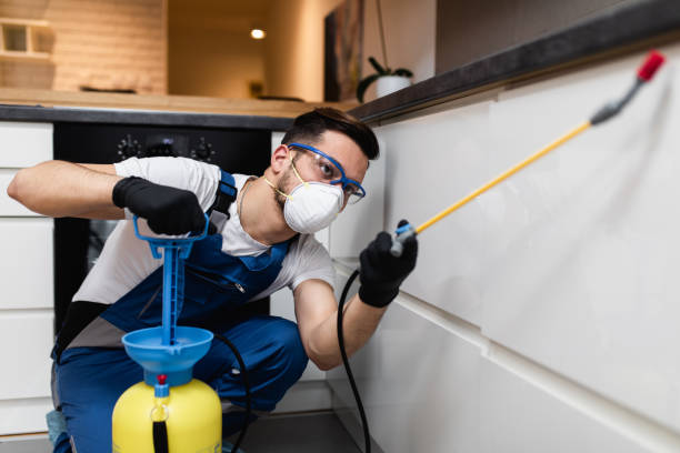 Best Rat Extermination Near Me  in Jackson, CA