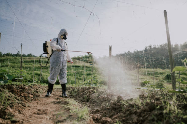 Best Ant Control Services  in Jackson, CA