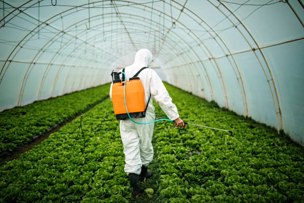 Best Emergency Pest Control  in Jackson, CA