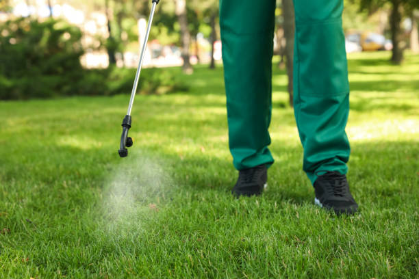 Best Pest Prevention Services  in Jackson, CA