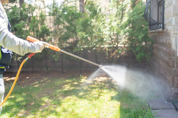 Best Wildlife Control Services  in Jackson, CA