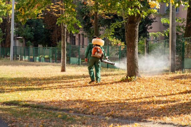 Best Local Pest Control Services  in Jackson, CA