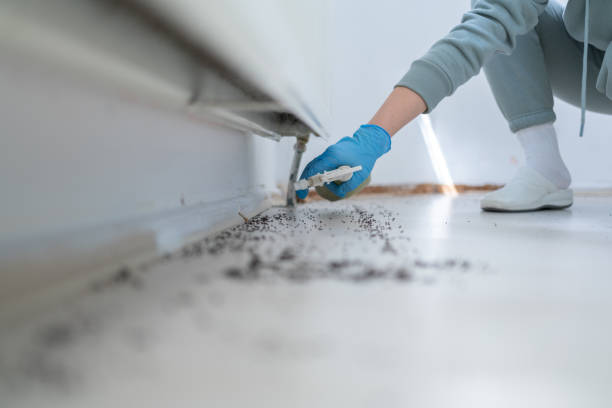 Best Residential Pest Control  in Jackson, CA